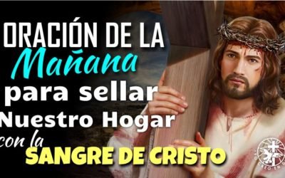 EL CONSEJO DEL DÍA | Yo creo en Dios